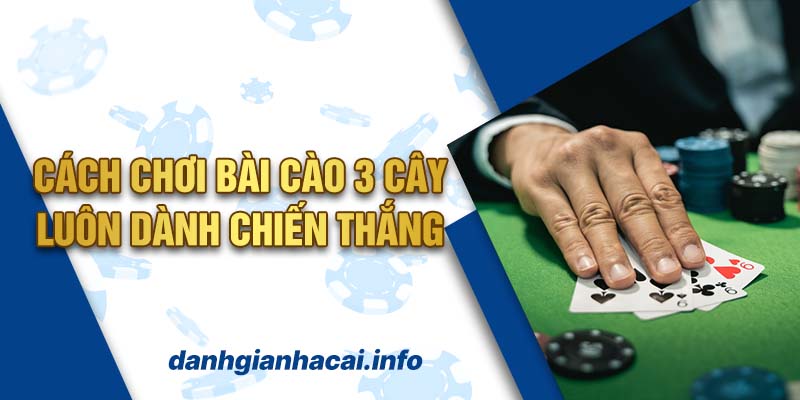 Bài cào 3 cây là gì? Cách chơi bài luôn dành chiến thắng