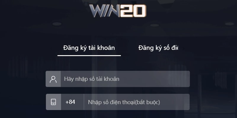 Các thông tin cần điền khi đăng ký tài khoản tại win20