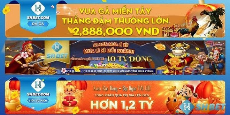 Khuyến mãi cho số lần cược thắng và cược thua liên tiếp chỉ có tại SHBET