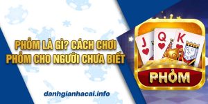 Phỏm Là Gì? Cách Chơi Phỏm Cho Người Chưa Biết